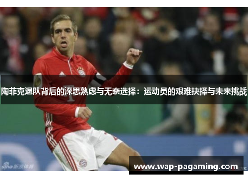 陶菲克退队背后的深思熟虑与无奈选择：运动员的艰难抉择与未来挑战