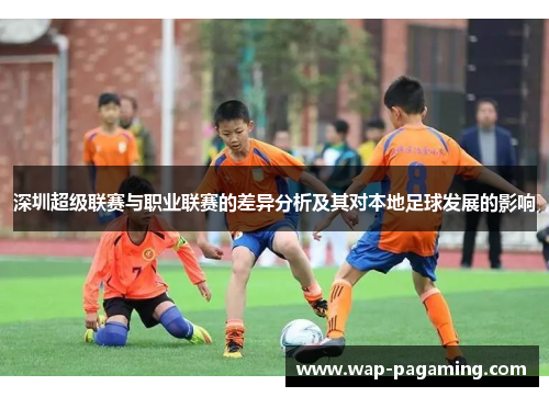 深圳超级联赛与职业联赛的差异分析及其对本地足球发展的影响