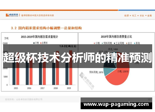 超级杯技术分析师的精准预测